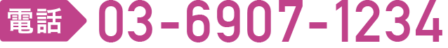 電話：03-6907-1234